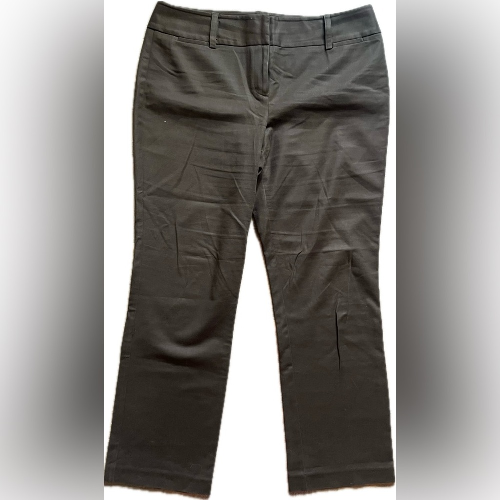 Dana Buchman Brown Trousers. Women’s size 16.